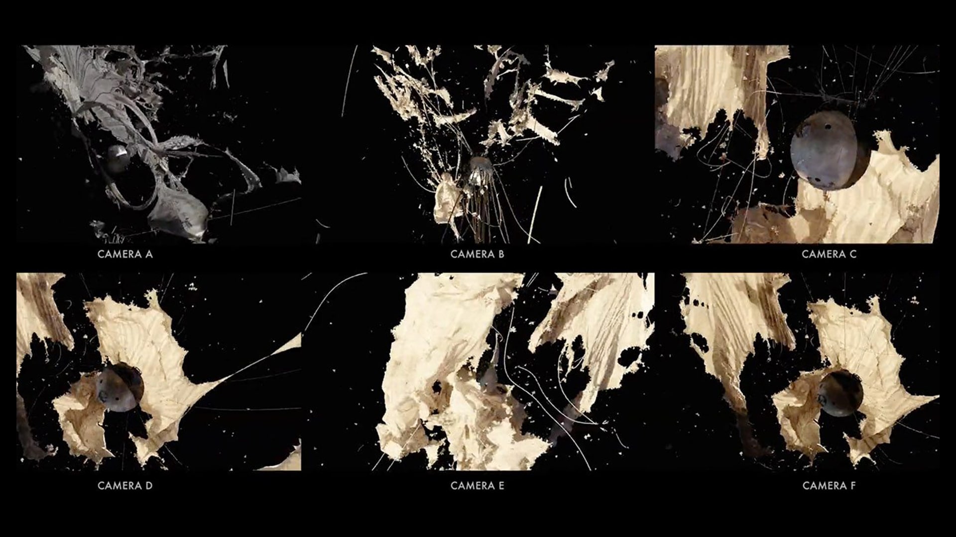 The Piccards image 13
