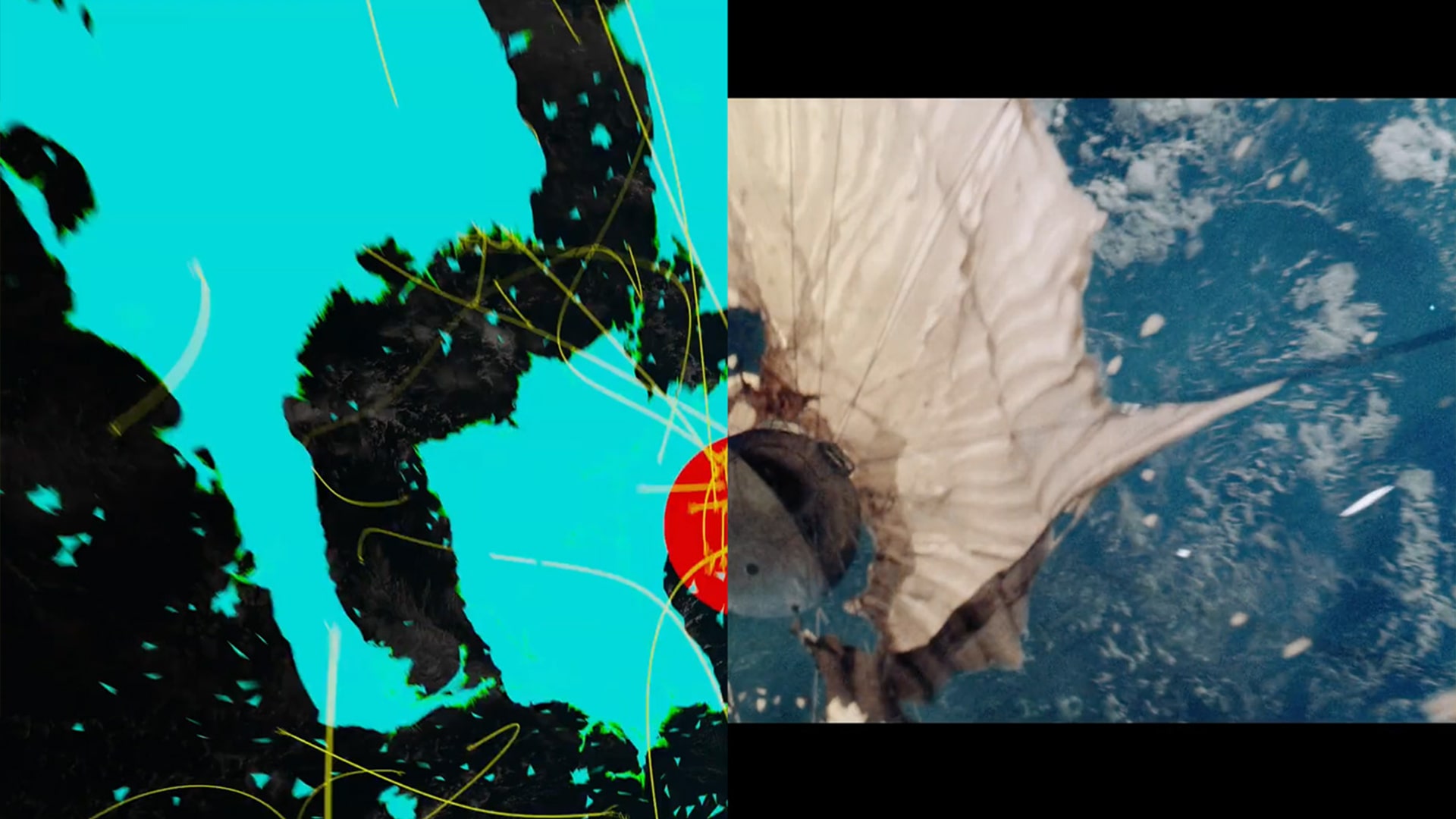 The Piccards image 15